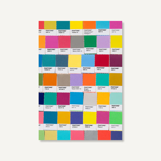 Pantone Chip Journal